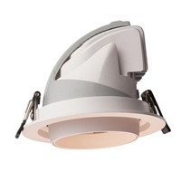 VXDL006-95  (20W) 